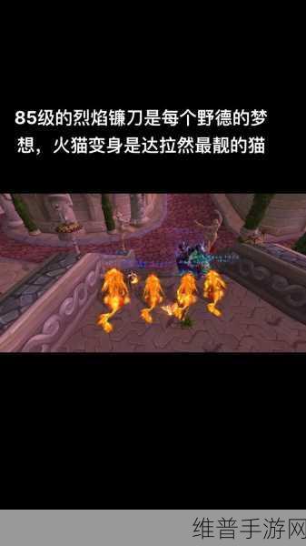 魔兽世界手游攻略，揭秘德鲁伊的动物形态变形之道