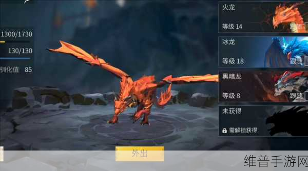 冰原守卫者巨龙升星全攻略，解锁材料详解