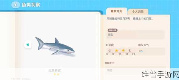 心动小镇海钓秘籍，解锁海鱼垂钓位置与技巧