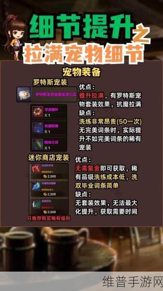 DNF宠物装备锁深度解析，全面守护你的游戏世界之旅