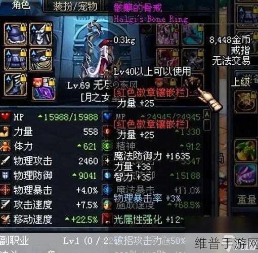 DNF宠物装备锁深度解析，全面守护你的游戏世界之旅