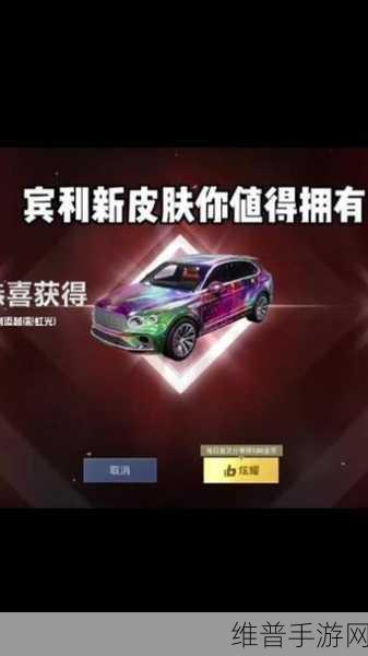 和平精英口令码免费永久皮肤2024全攻略，解锁炫酷装扮的秘籍