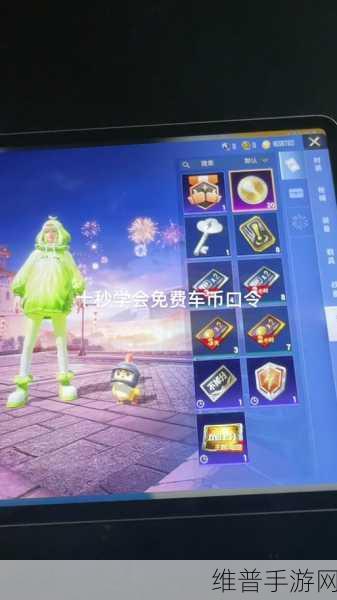 和平精英口令码免费永久皮肤2024全攻略,解锁炫酷装扮的秘籍