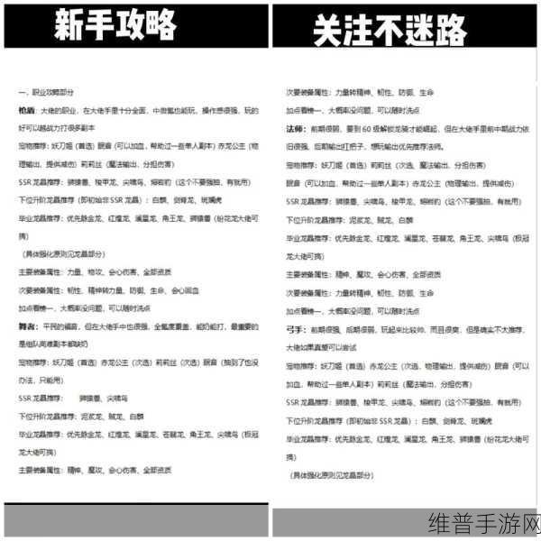 龙之国物语手游钻石消费指南,如何明智购买