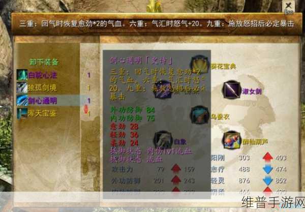 金庸群侠传5葵花门派全流程深度攻略一览介绍