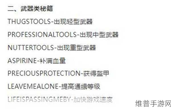探索虚拟世界，GTA5无限血量秘籍全攻略
