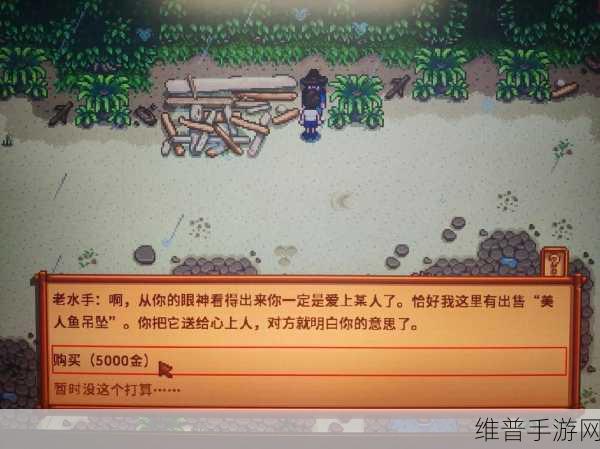 星露谷物语深度攻略，揭秘潘姆的喜好与日常