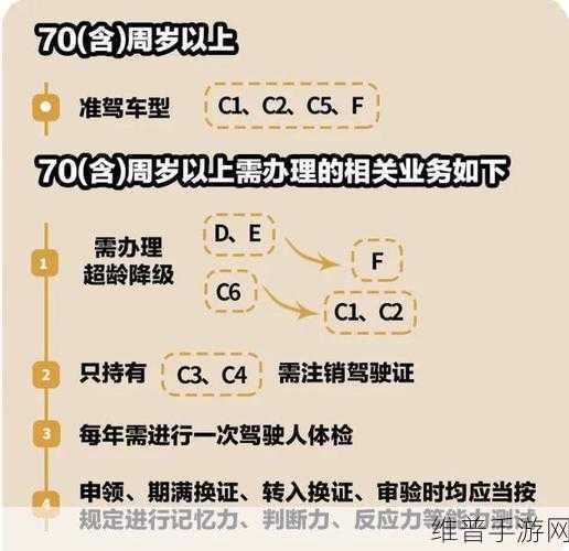 驾驶证降级全解析，手游玩家需知的降级情形与办理流程