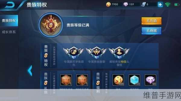 V8版本王者荣耀充值攻略全面解析，助你尊享贵族特权！