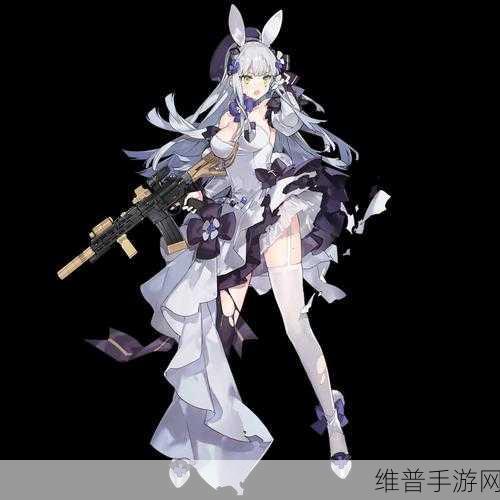 少女前线HK416专属装备深度解析，属性图鉴与实战应用全览