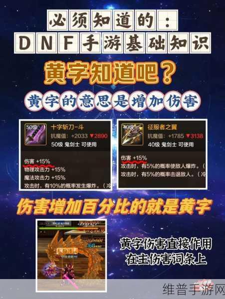 DNF手游攻略，深度解析装备白字与黄字的奥秘