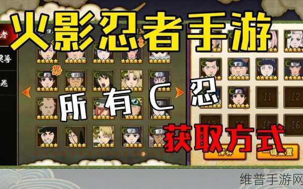 火影忍者手游攻略,探寻最强C忍的奥秘