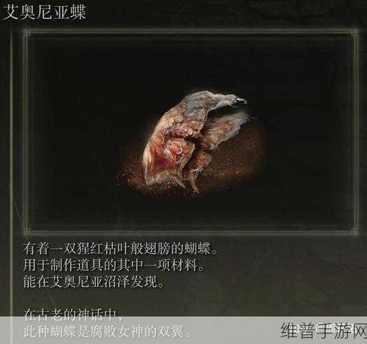 艾尔登法环深度解析，探寻梅琳娜的真实身份