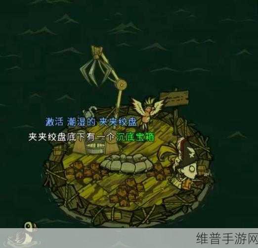 饥荒联机版，揭秘海底宝藏的捞取之道