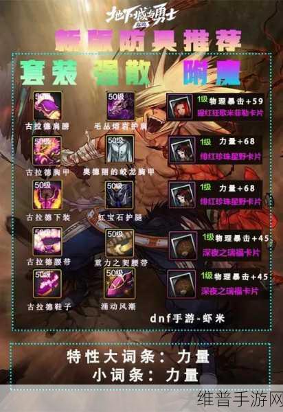 DNF手游深度攻略，特米武器——探索游戏中的极致力量