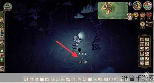 饥荒海洋影怪，资源管理中的机遇与挑战深度解析