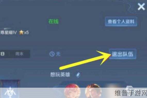王者荣耀小队功能关闭应对策略，如何优雅地退出小队