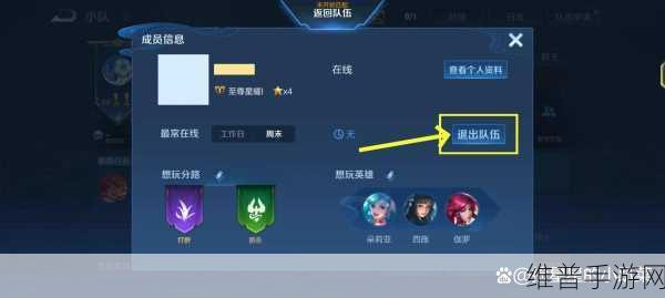 王者荣耀小队功能关闭应对策略，如何优雅地退出小队