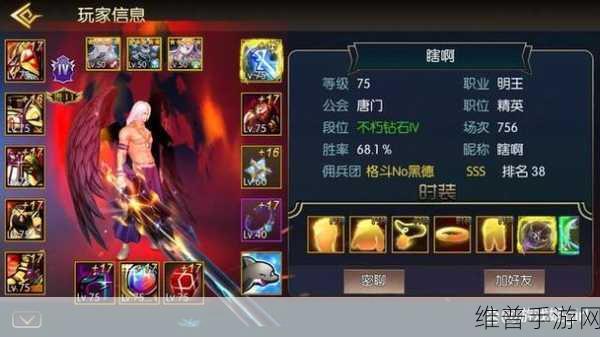 阿拉德之怒，全面解析强化装备技巧与策略