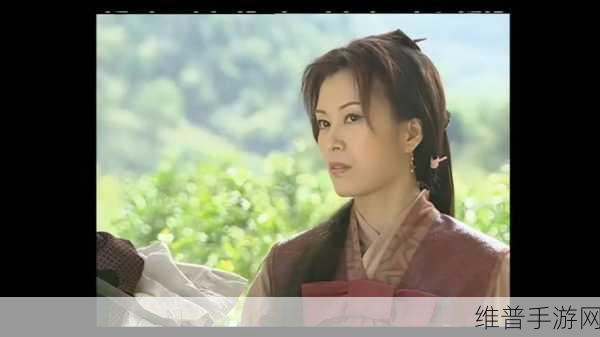 大唐双龙传手游深度攻略,傅君婥——侠骨柔情并存,展现绝世武技风采