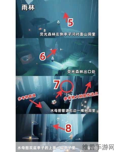 光遇雨林挑战攻略，解锁神秘雨林的过关秘籍