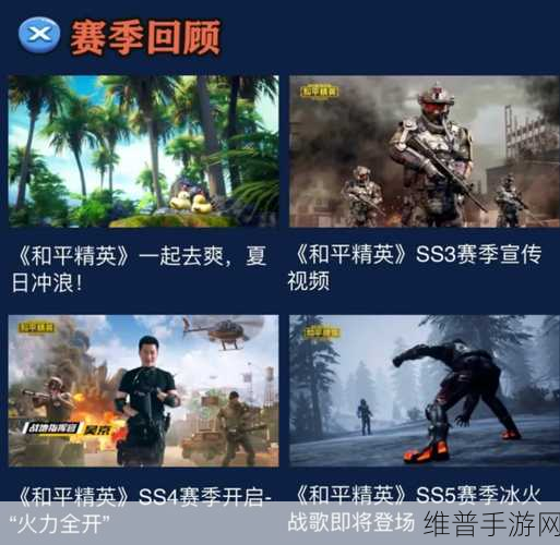 和平精英年度精彩回顾，全面解析与数据盛宴