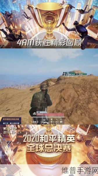 和平精英年度精彩回顾，全面解析与数据盛宴