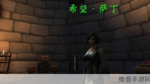 冰原守卫者深度指南，全面解锁流浪者营地攻略