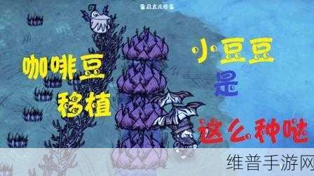 饥荒鹦鹉血量揭秘与高效资源管理深度攻略