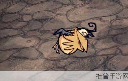 饥荒鹦鹉血量揭秘与高效资源管理深度攻略