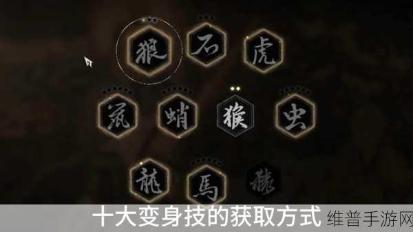黑神话悟空，全面解析如何更换铜头铁臂法术