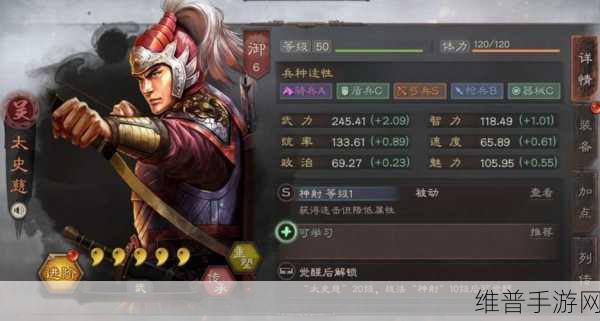 三国杀传奇太史慈全面解析，优缺点剖析及其在资源管理中的战略意义