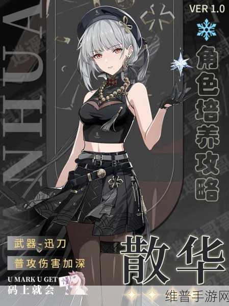 鸣潮散华角色攻略，声骸选择深度解析