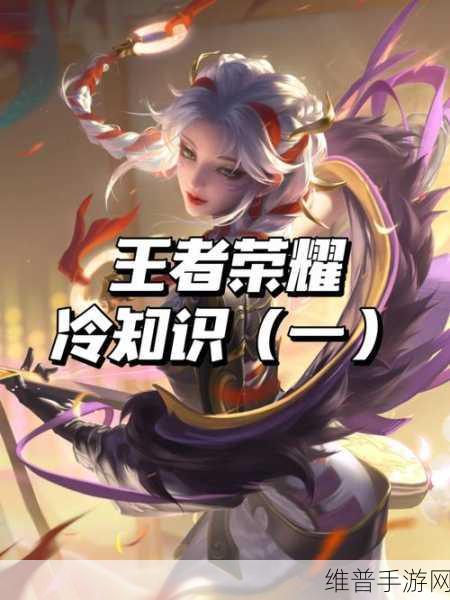 王者荣耀深度探索,那些不为人知的冷知识,你掌握了多少?