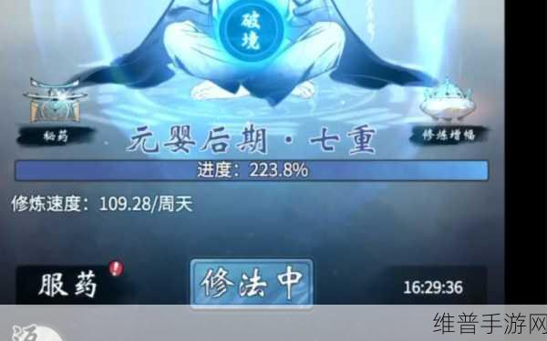 一念逍遥，化身升级与突破的深度解析