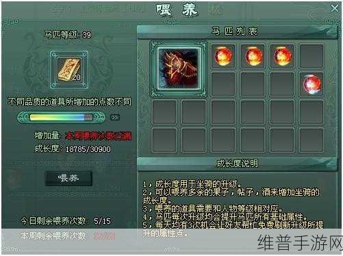 边境之旅前期与后期赚钱全攻略