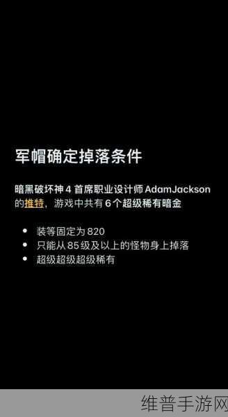 暗黑黎明深度攻略，深入解析龟壳博格四级进阶装备与资源管理策略艺术