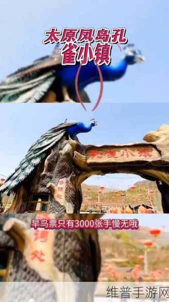 心动小镇探秘，寻找五子雀的奇妙之旅