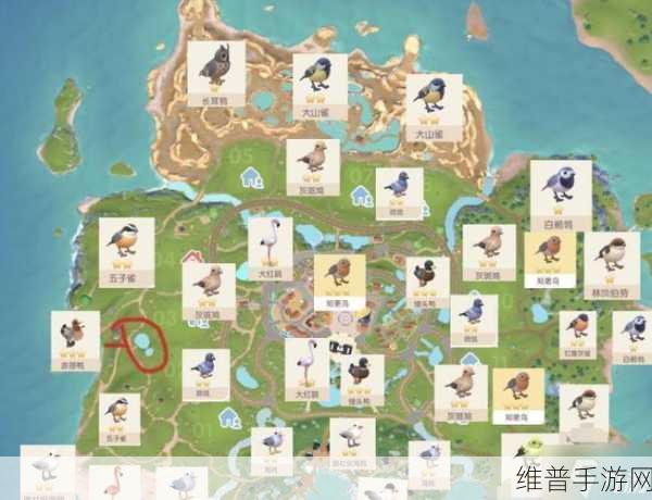 心动小镇探秘，寻找五子雀的奇妙之旅