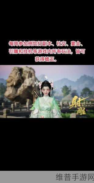 射雕手游引雷针获取攻略,全面解析与分享