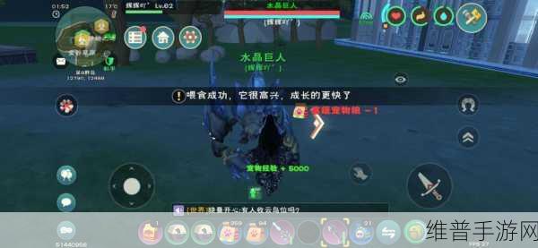 创魔青青猪奇遇，揭秘创造与魔法中青青猪的刷新机制