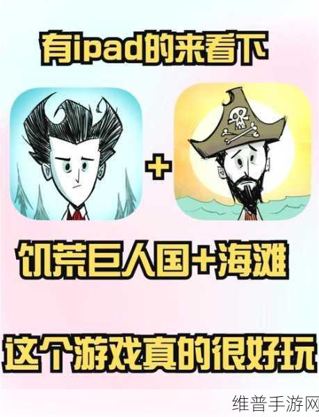 饥荒海滩安家优选地，资源管理智慧尽显的生存策略