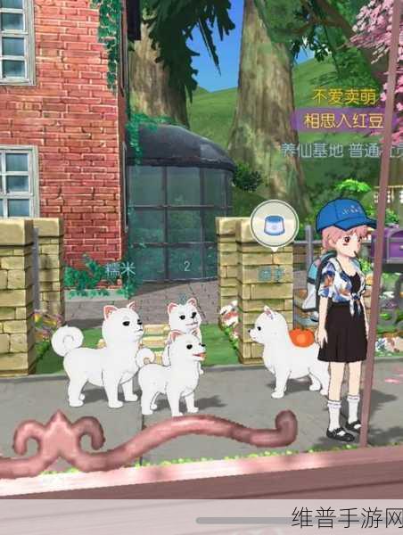 小森生活手游攻略，如何获取狗狗背包及详细使用指南
