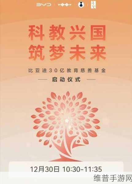 比亚迪30亿教育慈善基金启动，手游公司视角下的教育与创新人才培养