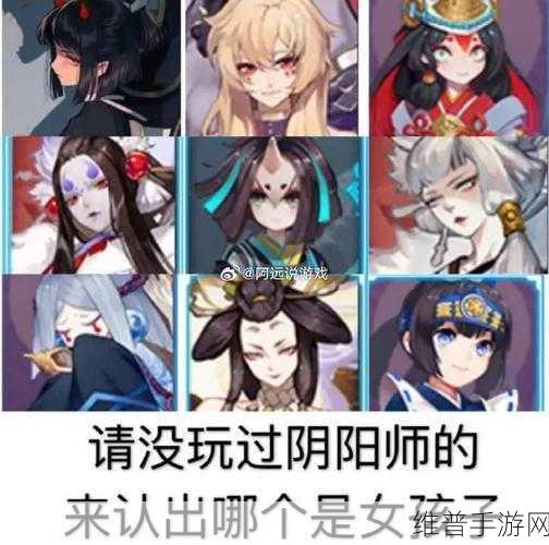 阴阳师手游攻略,探寻丑女之时,揭秘丑女位置分布