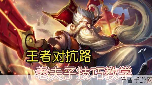 王者荣耀深度解析,对抗路与发育路的战略与技巧