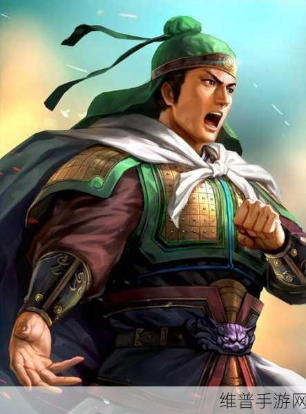 姜维攻城掠地策略揭秘，深入探索巧妙换将的艺术与智慧