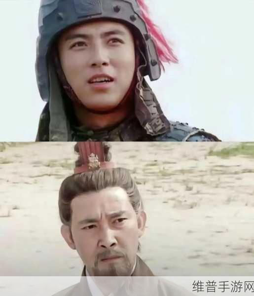 姜维攻城掠地策略揭秘，深入探索巧妙换将的艺术与智慧