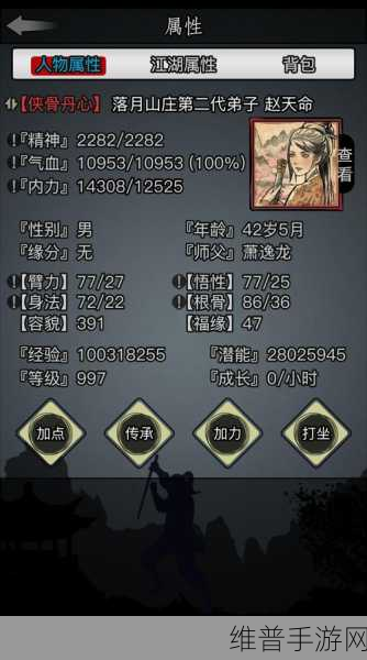 放置江湖新手前期全攻略，从零起步的江湖探险指南
