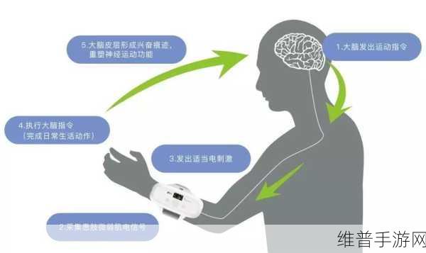 探索手游新境界，基于手势识别和临床手功能康复的表皮肌电传感器系统研究
